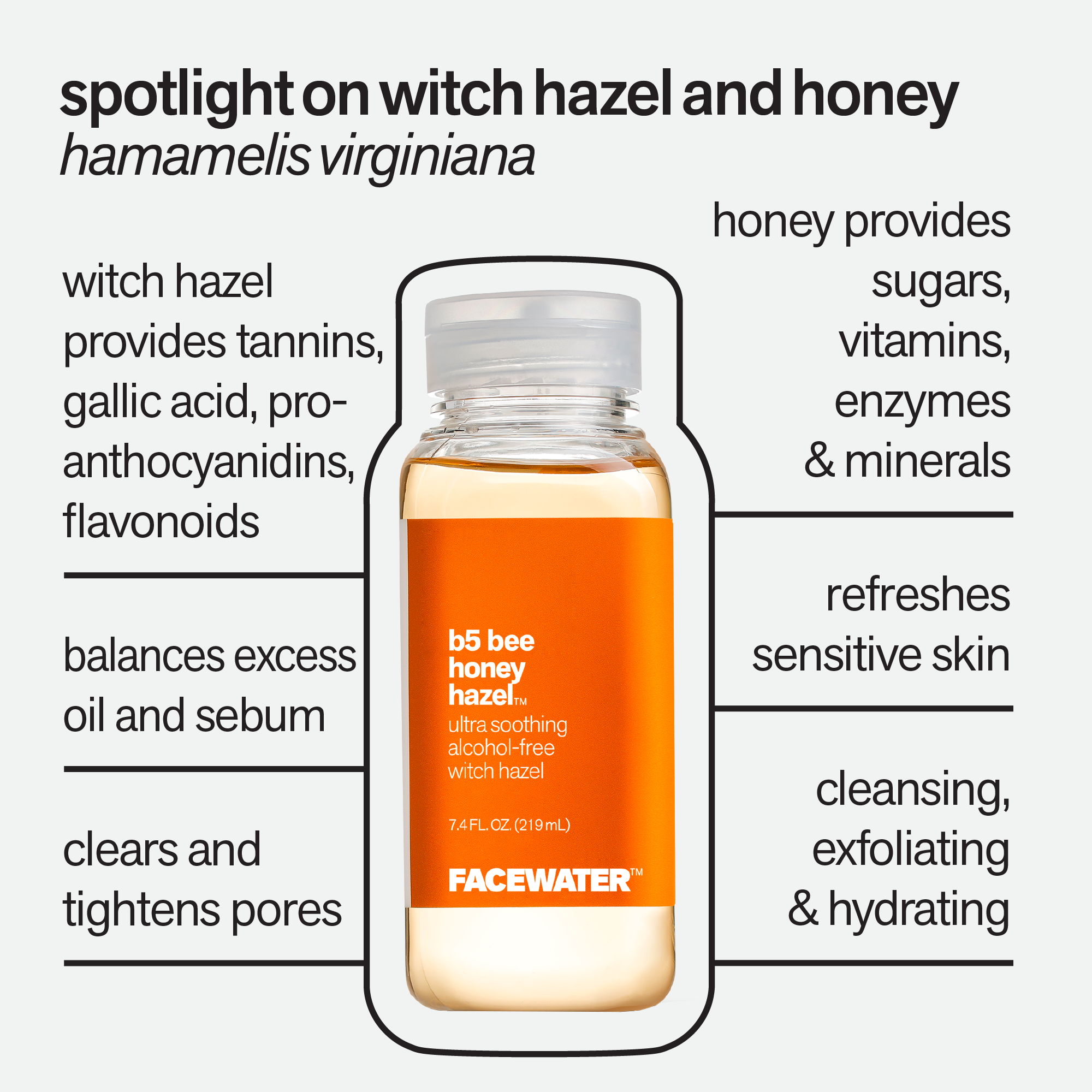 B5 Bee Honey Hazel Witch Hazel