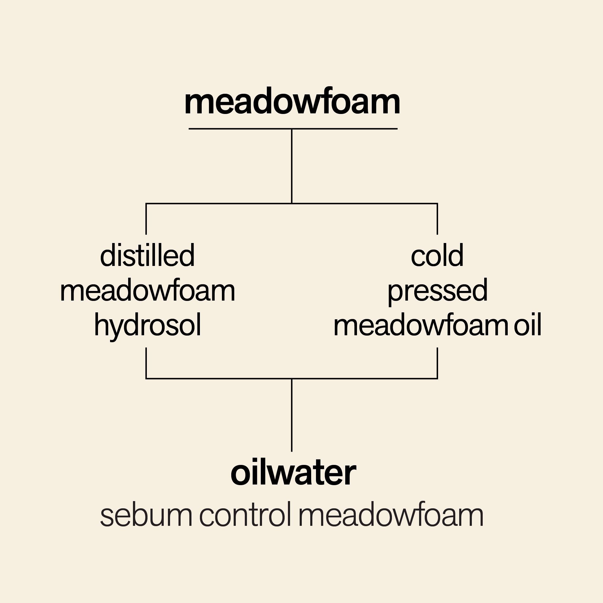 Oilwater Sebum Control Meadowfoam