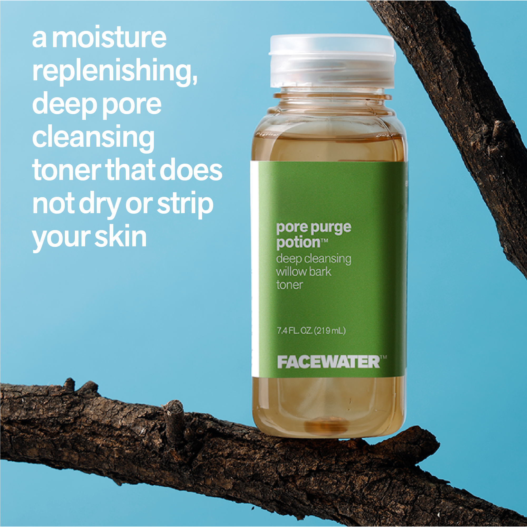 Potion Deep Pore Purge Potion Deep Cleansing Toner 100% Plant Based – Plant Beauty ...