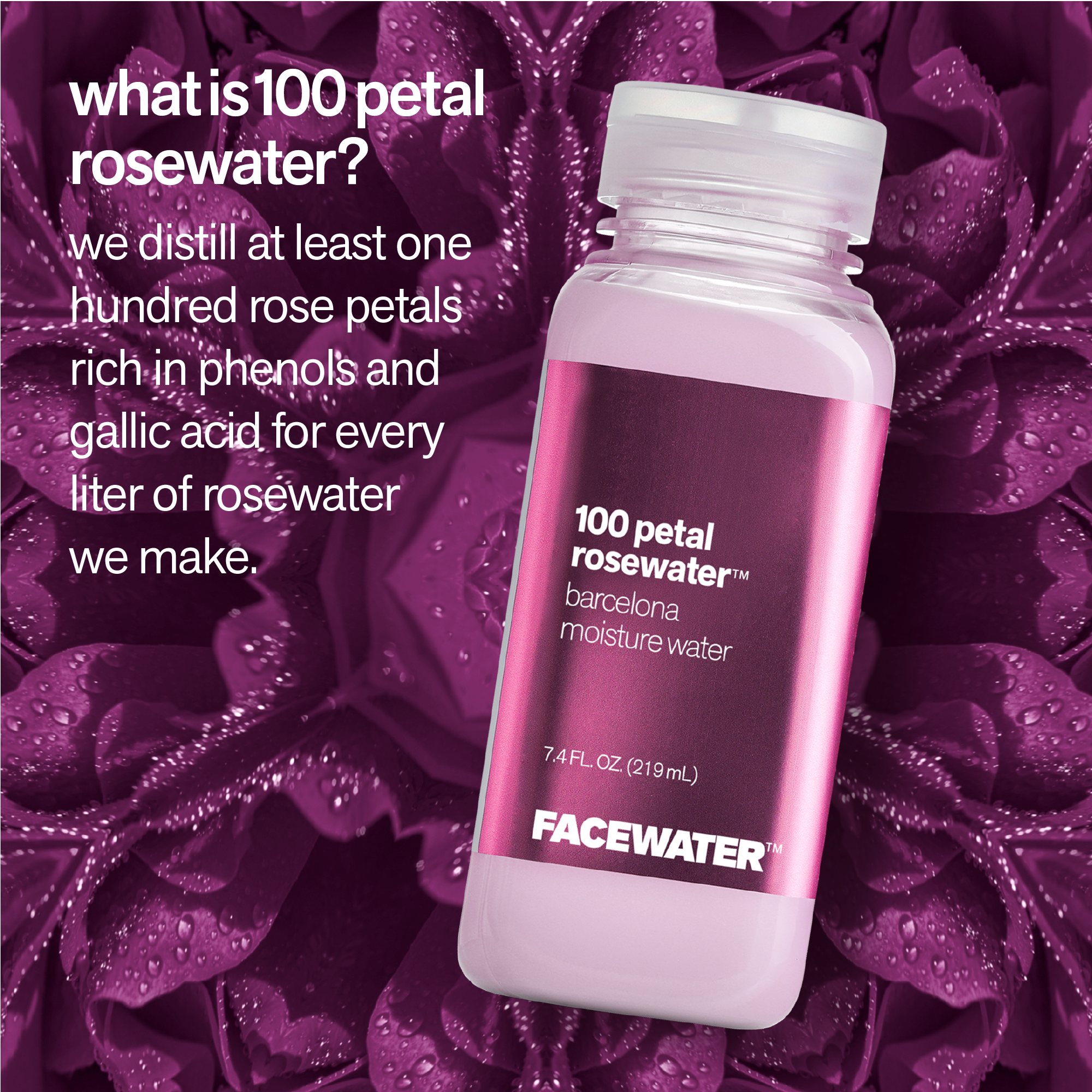 100 Petal Rosewater Barcelona Moisture Water
